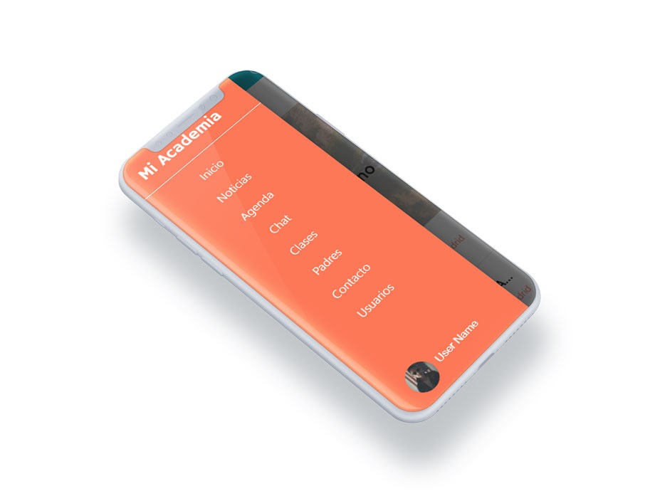 app para clases online